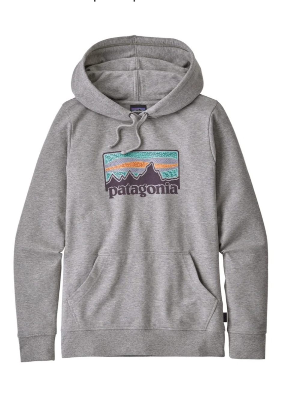 Patagonia Women’s Light Gray Hoodie with Multicolor Logo
